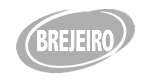 Arroz Brejeiro
